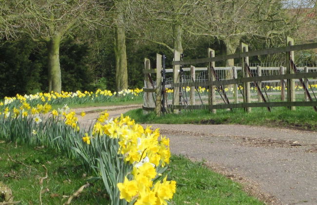 Colston Hall Cottages - Foto 48