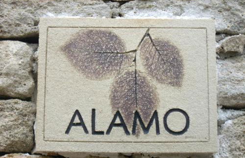 El Huertecillo - Foto 33