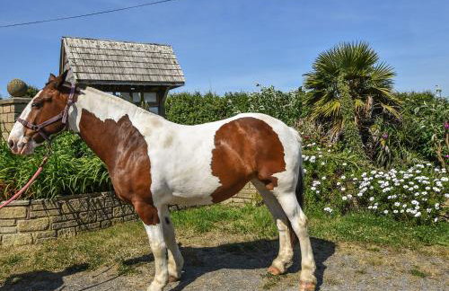 Valley View - Foto 63