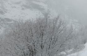 Les Hauts du Roux - Photo 12