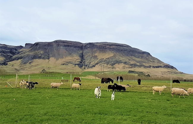 Vorsabær 2 Holiday Home - Foto 16