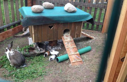 Gasleidhof - Photo 33