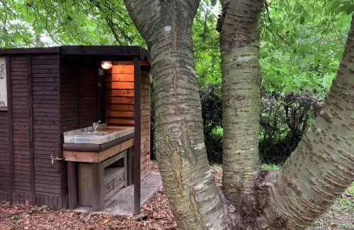 Starry Meadow & Rescued Animal Experiences - Foto 68