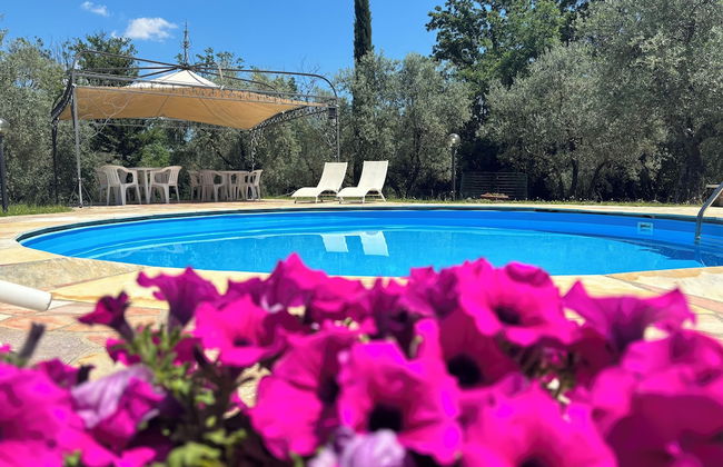 FUCCIOLI II - Foto 11