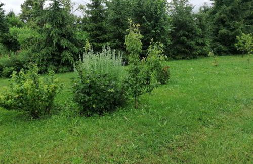 Domek Dobra - Foto 17