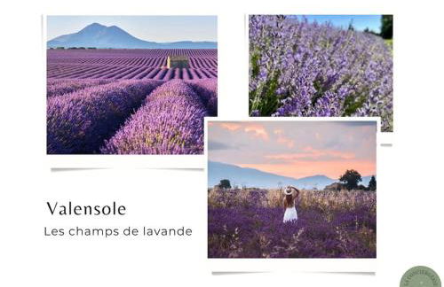 Villa l'Olivier en Provence 5ch piscine jardin et clim - Foto 54