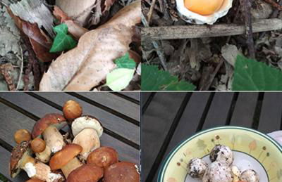 Case Danti Padronale - Foto 22