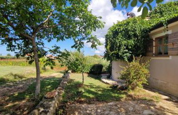 Villa Mimosa - Foto 63