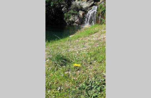 Palheirinho - Foto 49