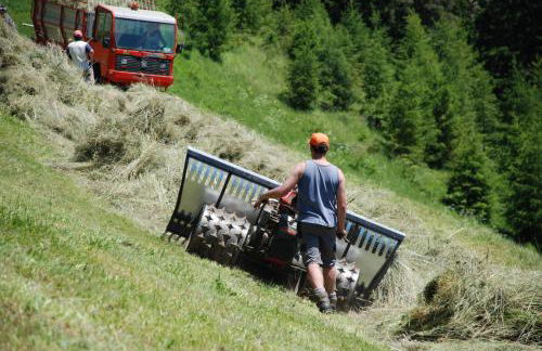 Alpinus Agriturism - Photo 58