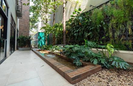 Apezinho Moema - Photo 79