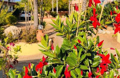 Residence Esmeraldo - Foto 70