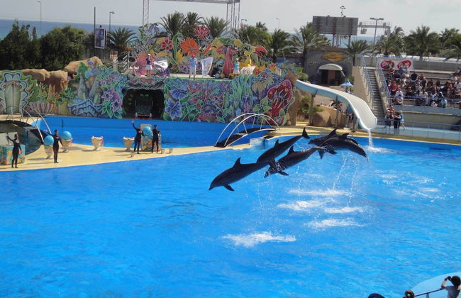 La Maison de Noélie - rez de jardin - Foto 56