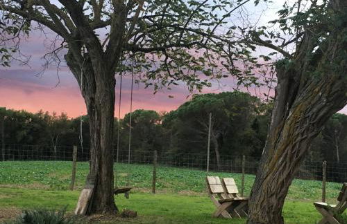 Mas Gelabertó - Foto 26