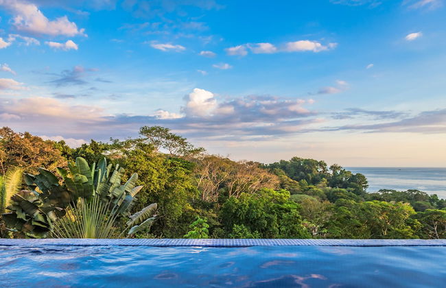 Tiki Villas Rainforest Lodge & Spa - Foto 19