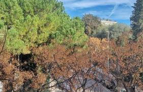 Beautiful 3 room apartment - Parking -Centre -Tram - Foto 14