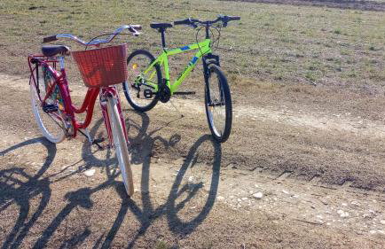 Ruralna kuća za odmor LOVRAK - Foto 23