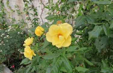 Casa Low Cost - Foto 65