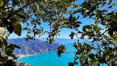 Agriturismo Punta San Lazzaro - Foto 3