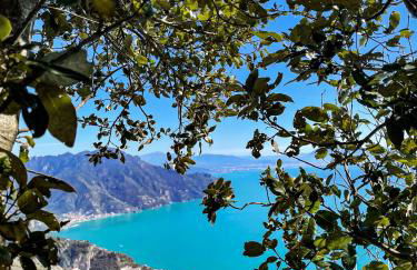 Agriturismo Punta San Lazzaro - Foto 3