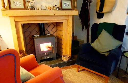 Casa Shyshka country cottage - Foto 8