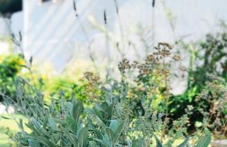 Trikorfo Bungalows - Foto 13