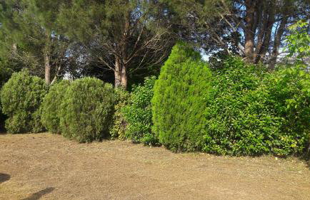 Lemontree Apartments - Foto 41