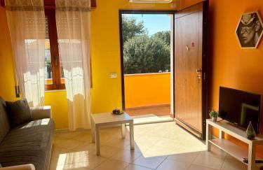 ButterflyHouse - Foto 14