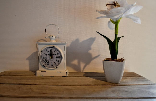 Luxury Pool Villa in Goesnes - Foto 48