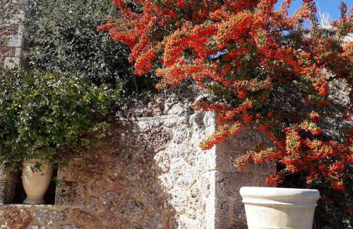 Anta's bnb - Foto 49