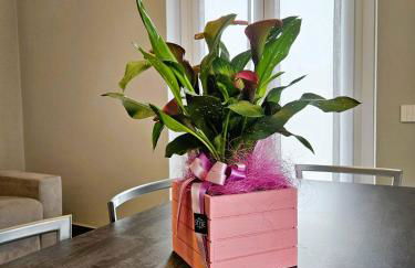 Via Brennero 5 Apartments - Photo 56