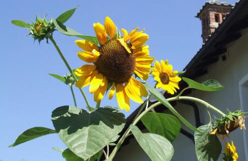 La Meridiana, monolocale in cascina ristrutturata - Foto 18