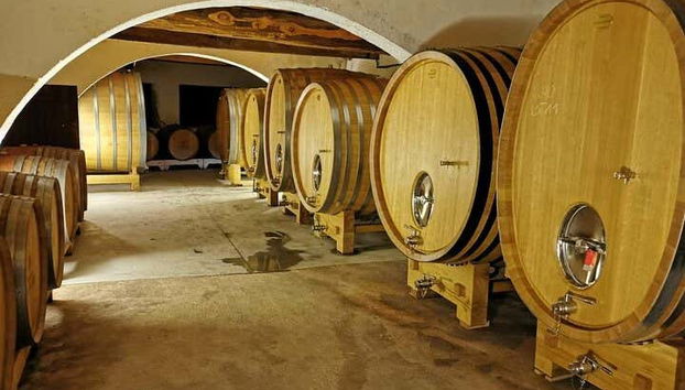 Visitez une cave de Provence