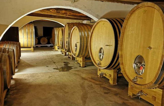 Visite privée à la découverte des vins de Provence en side-car - Photo 3