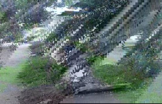 Kangaroo Island Holiday Village - Photo 1