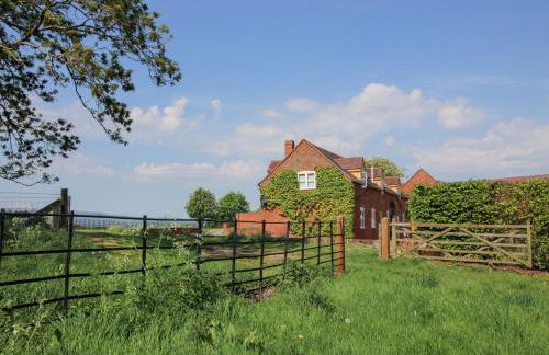 The Chestnuts - Foto 34