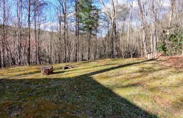 Perfectly Imperfect Cabin - Foto 18