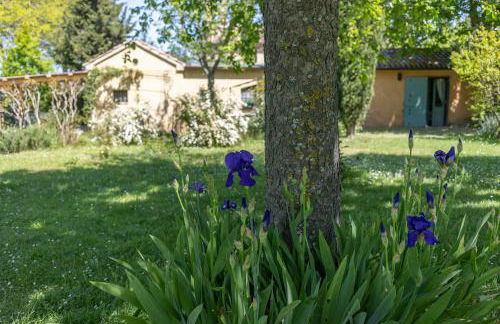 Delightful Cottage facing the vineyard - Foto 27