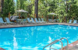 Woodsy retreat near Northstar & lake - Foto 27