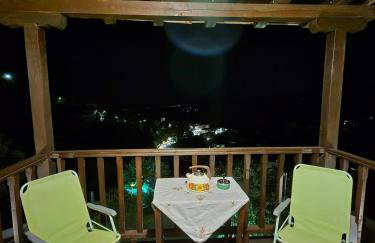 Αρχοντικό Πανόραμα - Foto 58