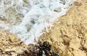 Casa sul fiume - Foto 60