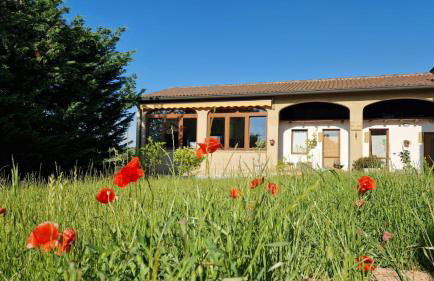 Bio Agriturismo Vojon - Foto 70