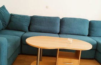 Apartman Dragicevic - Foto 18