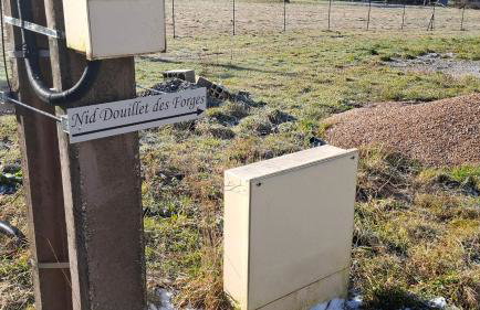 Nid Douillet des Forges - Maison 2 chambres, jardin & parking gratuit - Foto 28