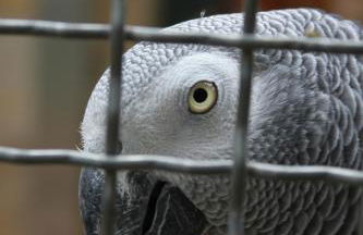 City Apartment Bischofswerda Holliday and Work - Foto 21