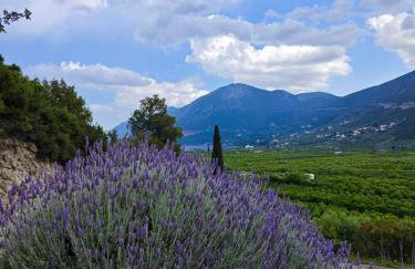 Melissafarm Guest House - Photo 61