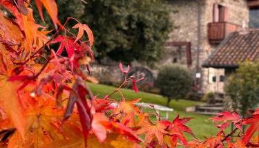 Il Fienile - Historic Molino Maufet Watermill - Lake Como - Photo 4, Garden, Garden view