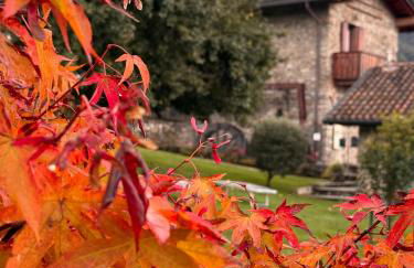 Alle Macine - Historic Molino Maufet Watermill - Lake Como - Photo 9