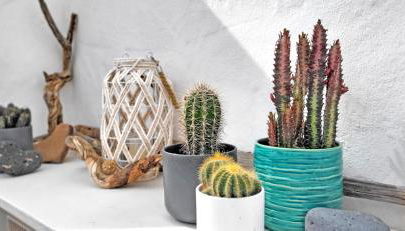 Ferienwohnung Lugar Con Alma, Tarajalejo, Balkon, Strandnah, WiFi - Photo 4