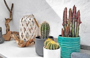 Ferienwohnung Lugar Con Alma, Tarajalejo, Balkon, Strandnah, WiFi - Photo 4